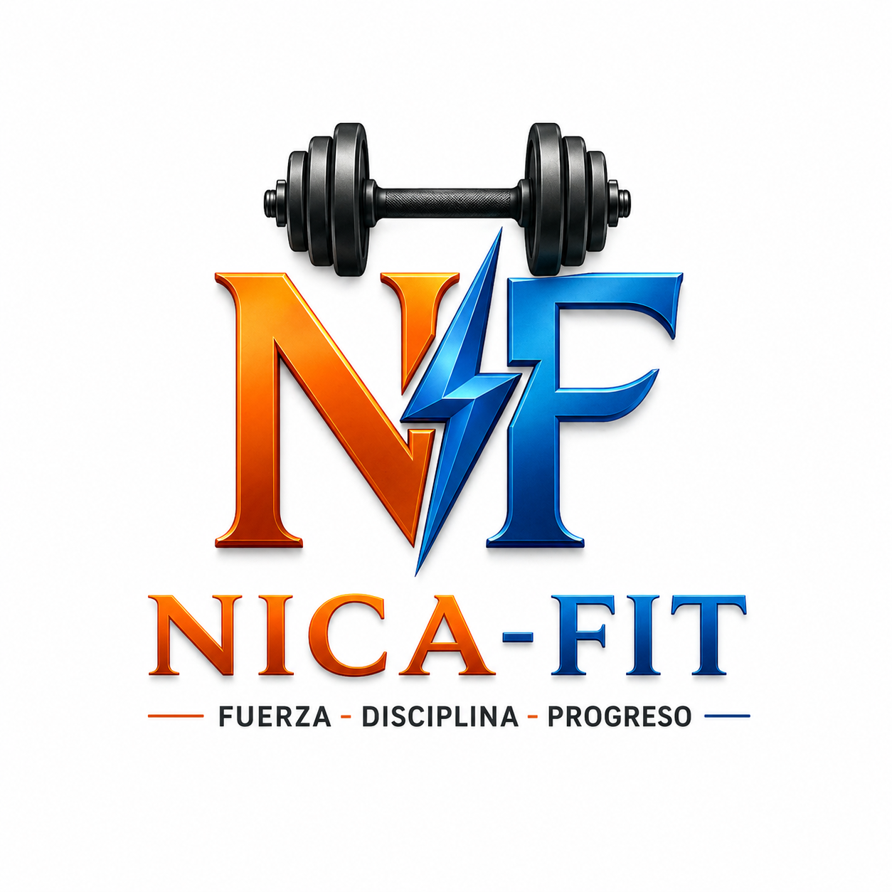 NICA-FIT logo